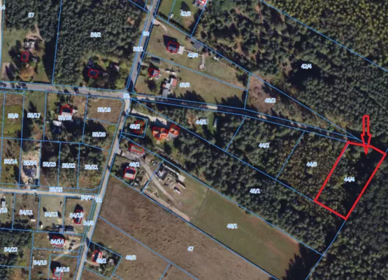 Wałdowo Królewskie